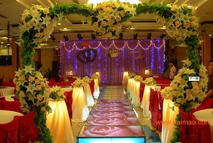 大舞臺婚慶禮儀公司 深耕廈門市場，布局全國服務網絡